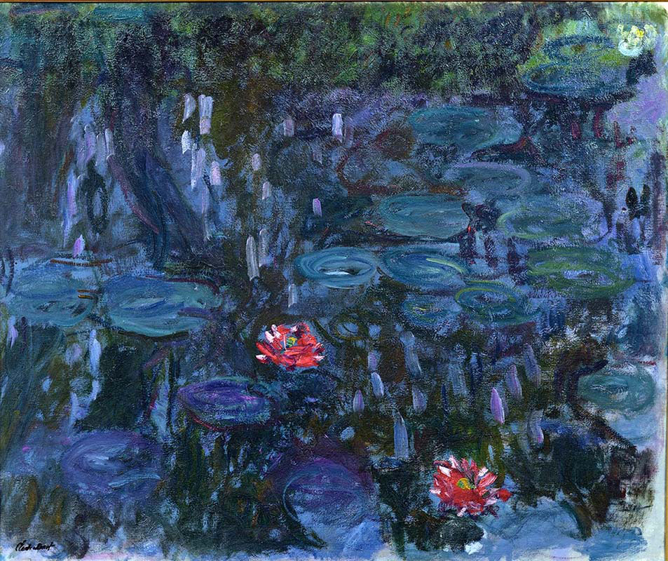 Water Lilies Reflections of Willow
